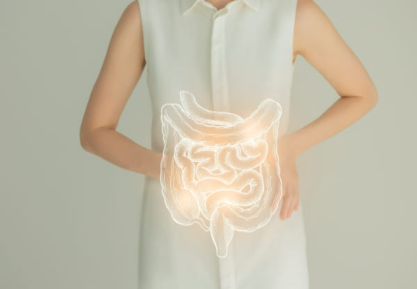 体と、大腸と小腸のイメージ